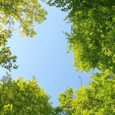 Auszeit